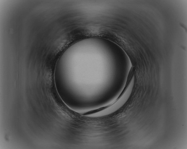 X0000091980642200709131413