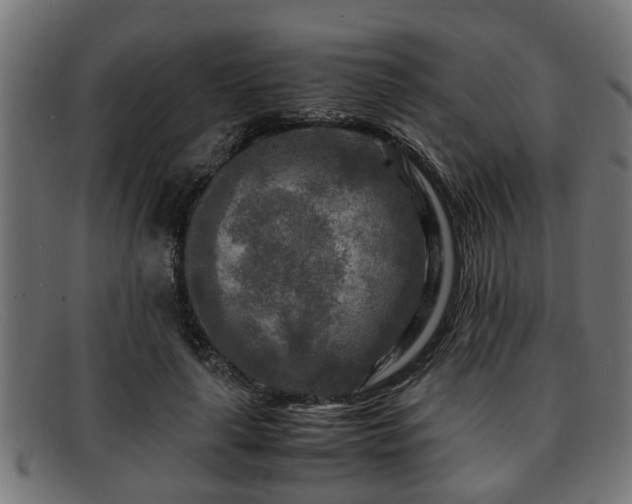 X0000091980643200709131413