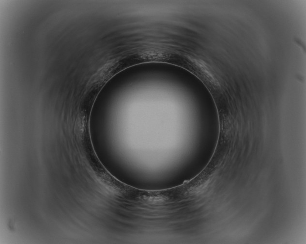 X0000091980645200709131413