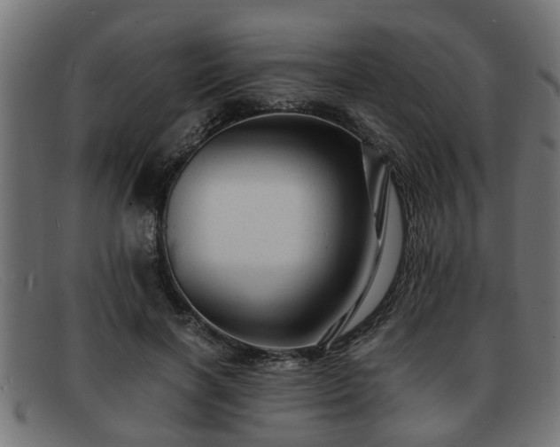 X0000091980646200709131413