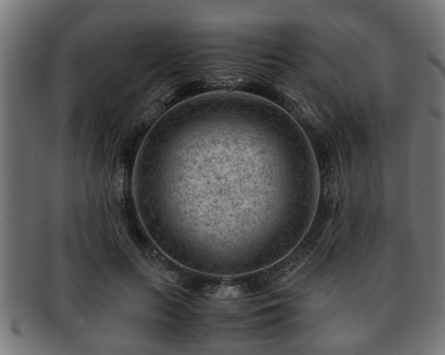 X0000091980647200709131413