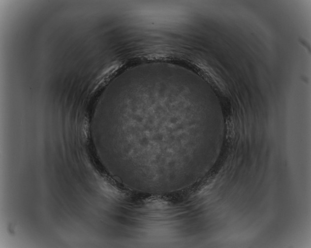 X0000091980648200709131413