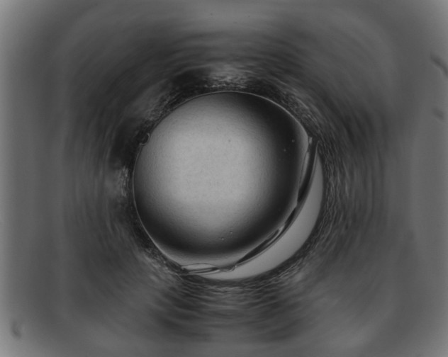 X0000091980649200709131413