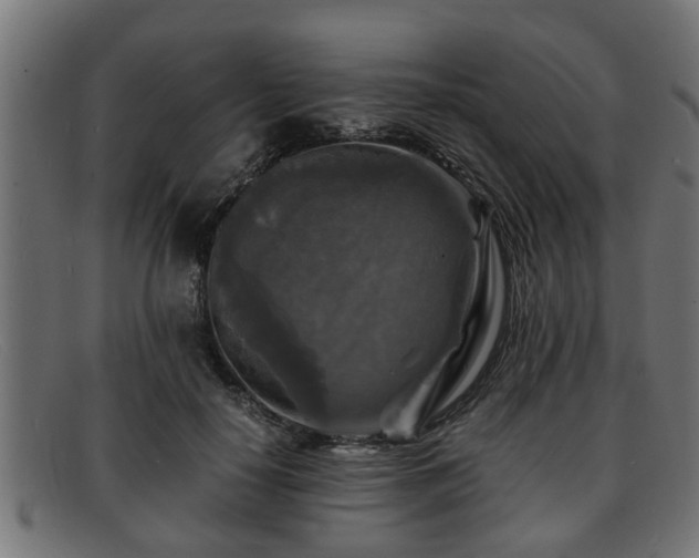 X0000091980650200709131413