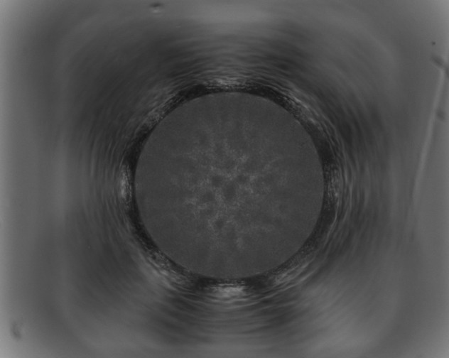 X0000091980651200709131413