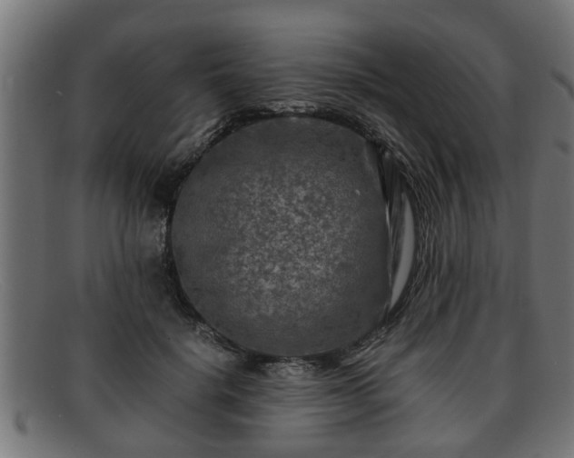 X0000091980652200709131413