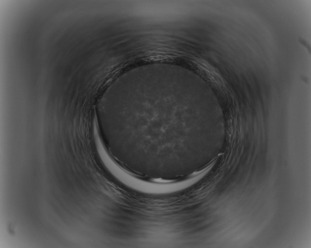 X0000091980653200709131413