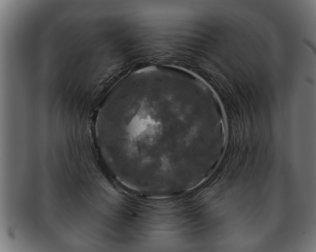 X0000091980654200709131413