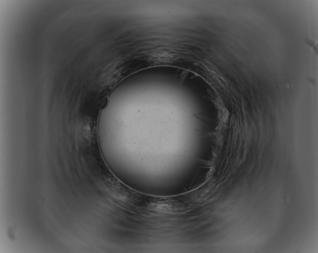 X0000091980655200709131413