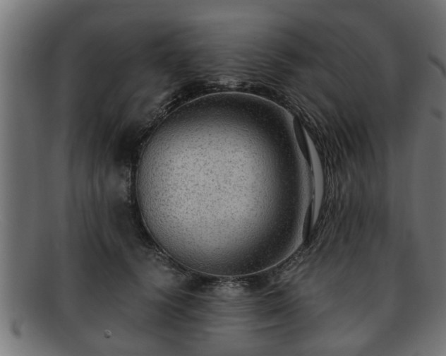 X0000091980656200709131413