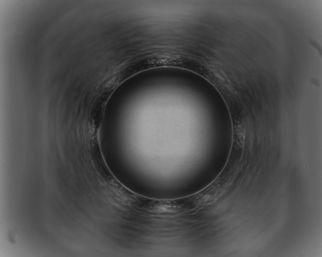 X0000091980657200709131413