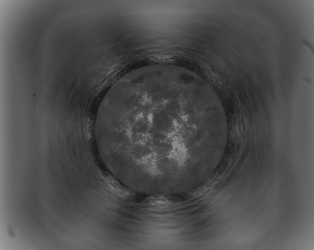 X0000091980658200709131413