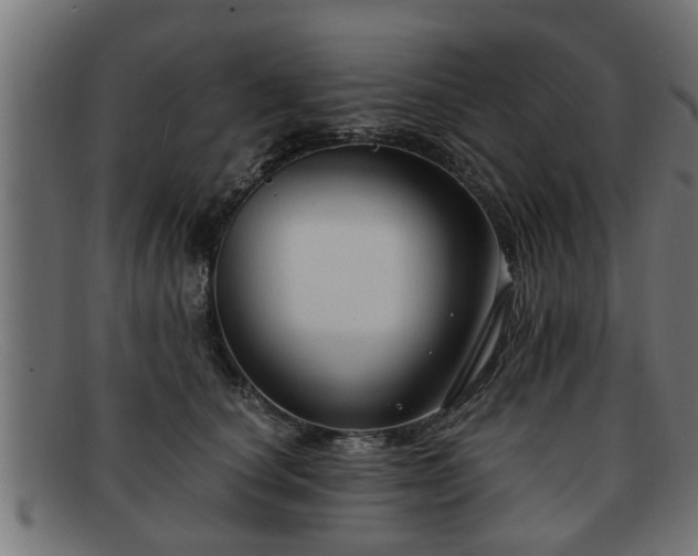 X0000091980660200709131413