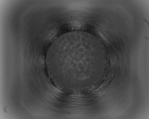 X0000091980661200709131413