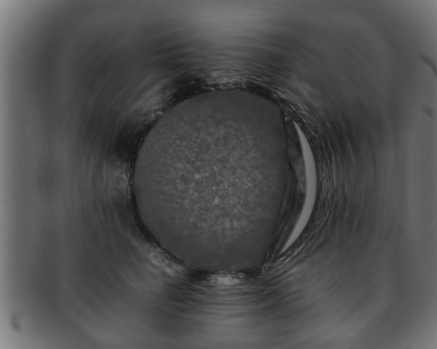 X0000091980662200709131413