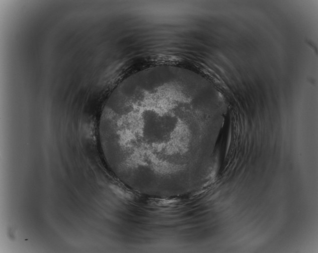 X0000091980663200709131413