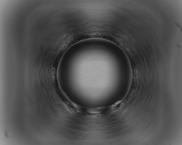 X0000091980664200709131413