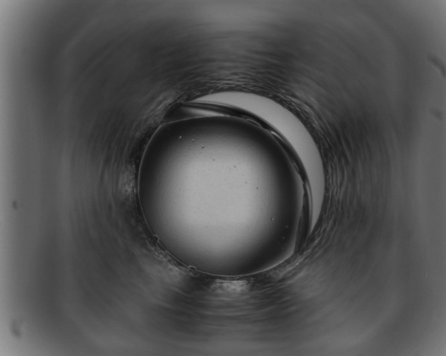 X0000091980665200709131413