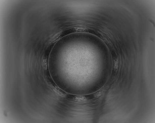 X0000091980666200709131413