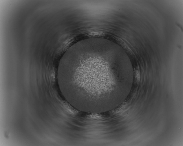 X0000091980668200709131413