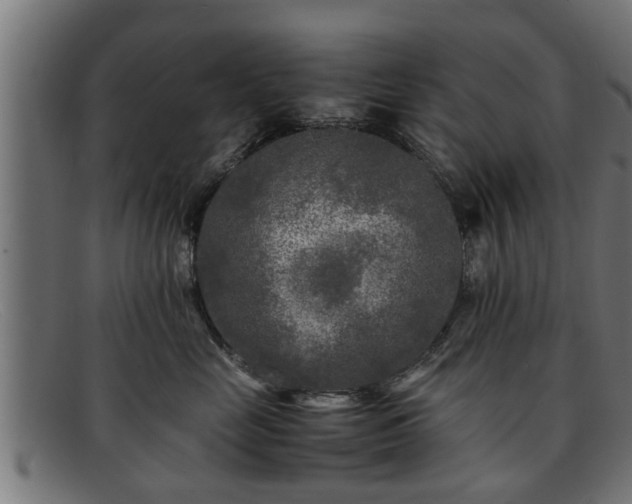 X0000091980669200709131413