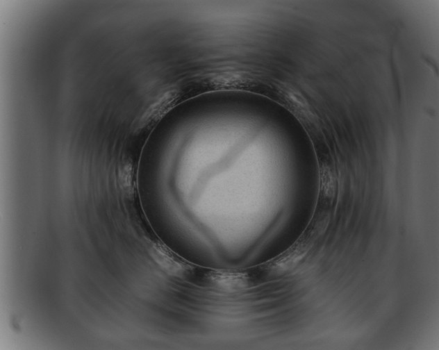 X0000091980670200709131413