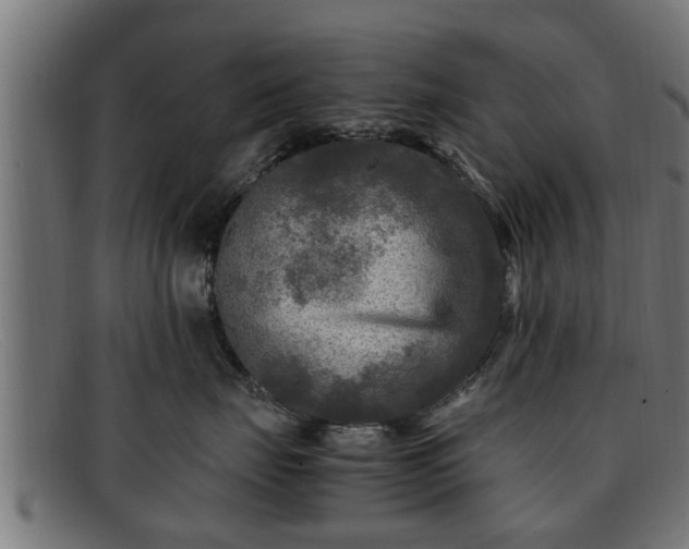 X0000091980671200709131413