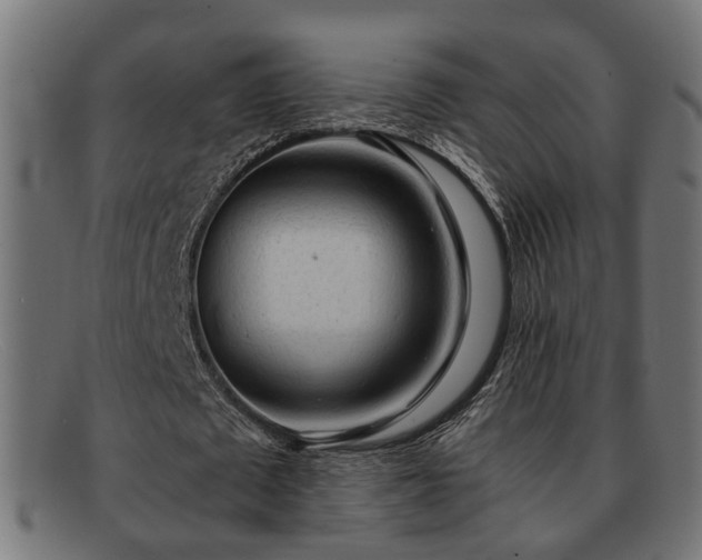 X0000091980673200709131412