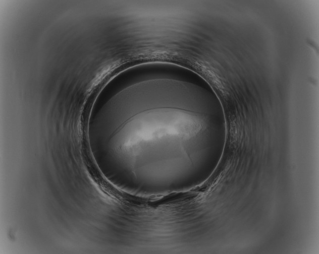 X0000091980674200709131412