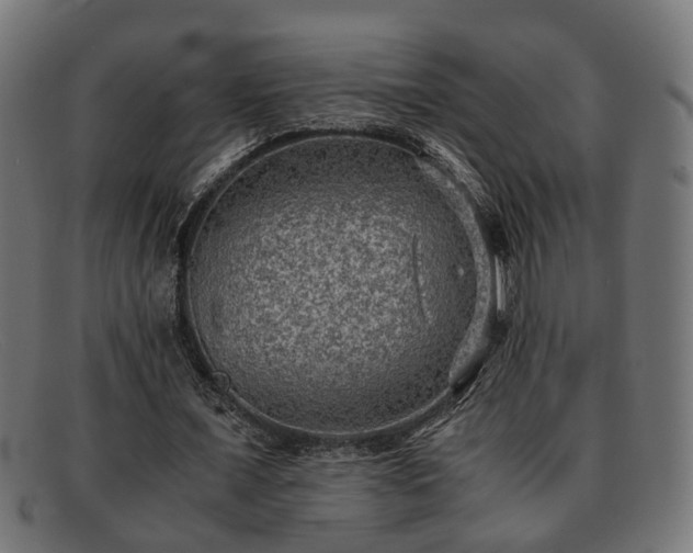 X0000091980675200709131412