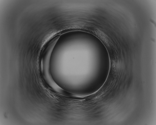 X0000091980676200709131412