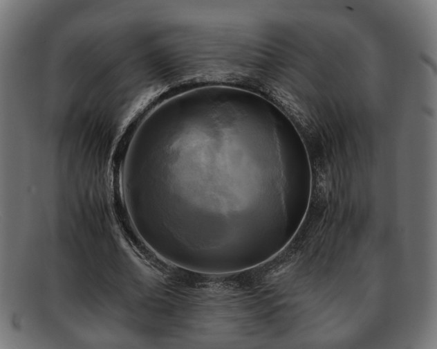 X0000091980678200709131412