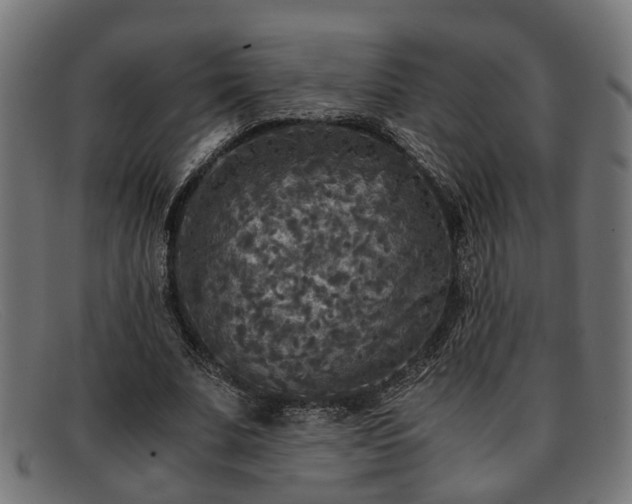 X0000091980679200709131412