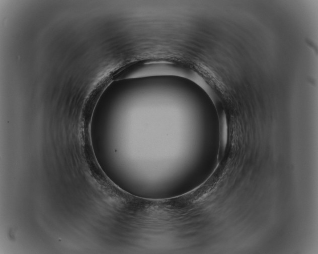 X0000091980680200709131412