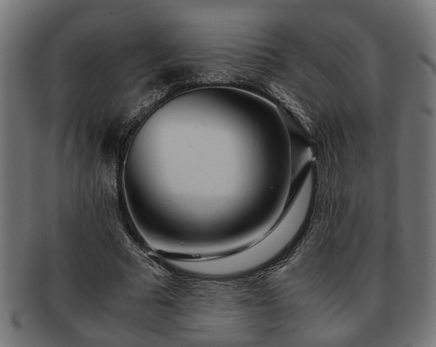 X0000091980681200709131412