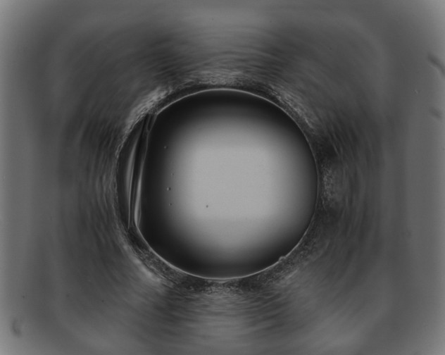 X0000091980682200709131412