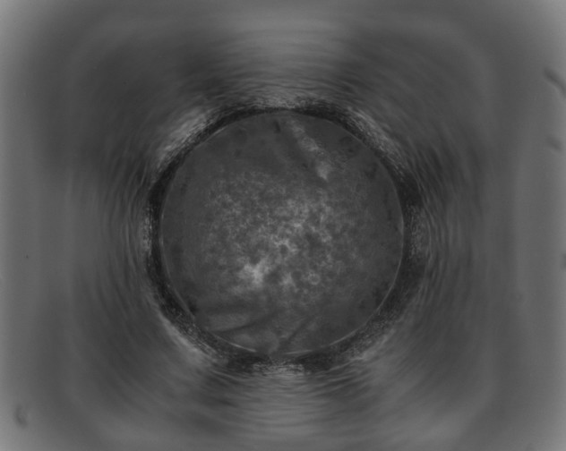 X0000091980683200709131412