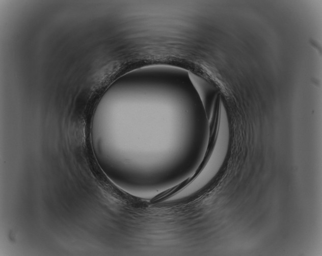 X0000091980685200709131412