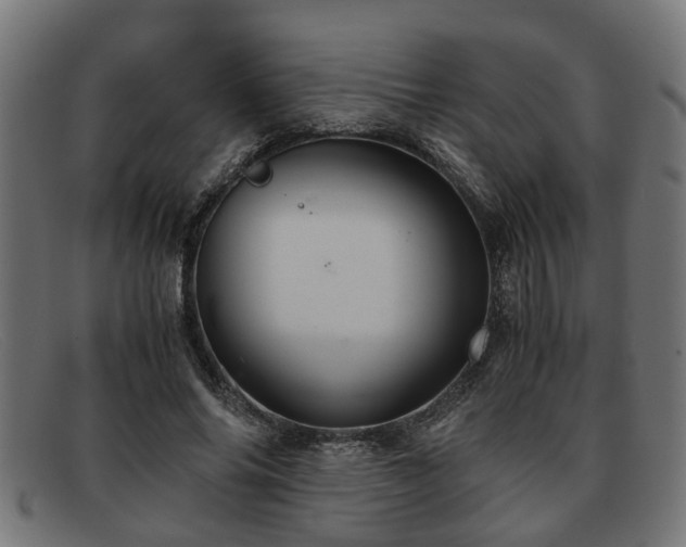 X0000091980686200709131412