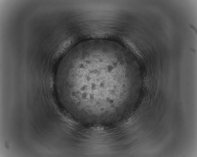 X0000091980687200709131412