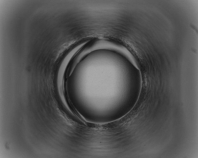 X0000091980688200709131412