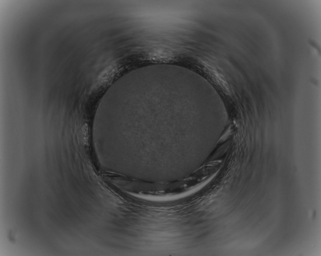 X0000091980689200709131412