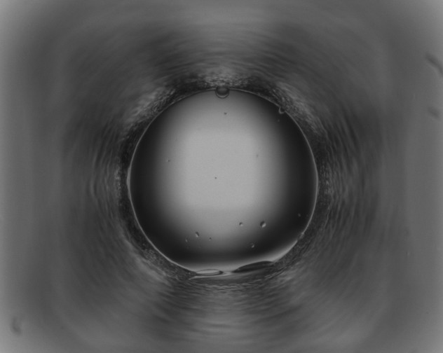 X0000091980690200709131412