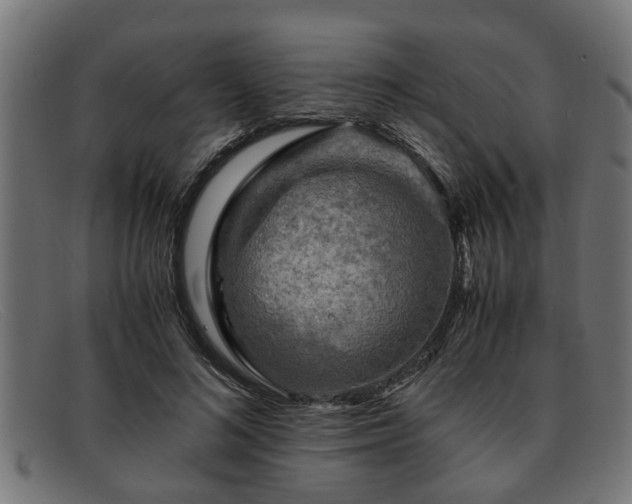 X0000091980692200709131412