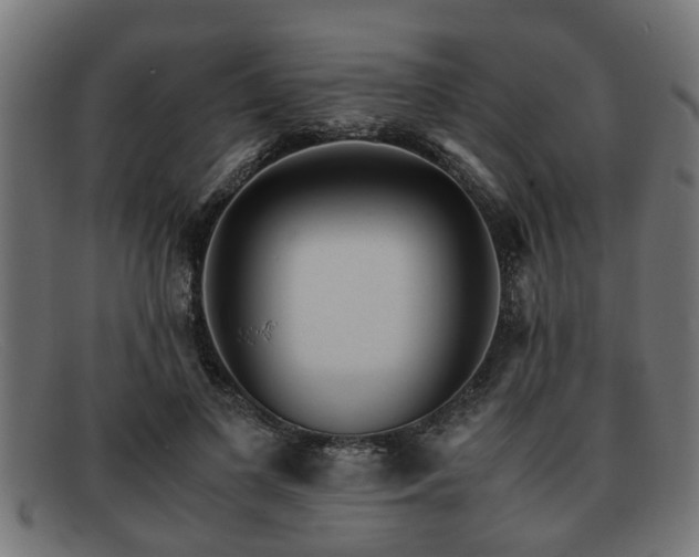 X0000091980693200709131412