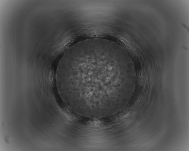 X0000091980695200709131412