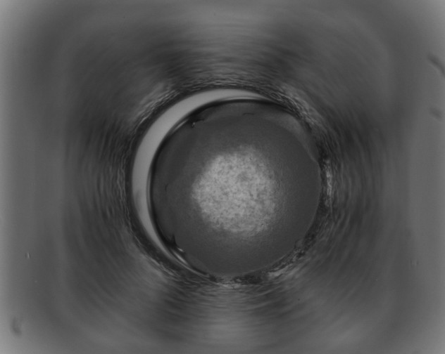 X0000091980696200709131412