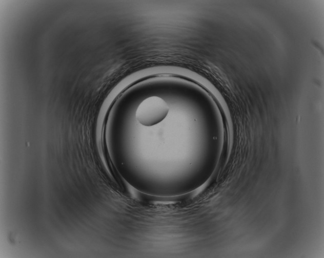 X0000091980697200709131412