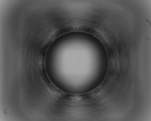 X0000091980698200709131412