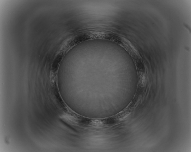 X0000091980701200709131412